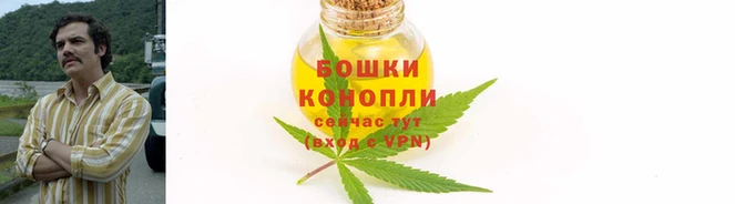 МДПВ Лиски